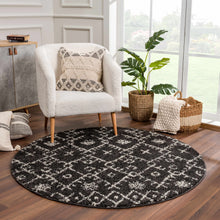 Load image into Gallery viewer, Thetford Black Berber Shag Rug - Clearance