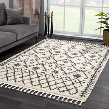 Carregar imagem no visualizador da galeria, Godalming Plush Area Rug