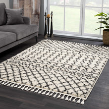 Load image into Gallery viewer, Muni Berber Shag Rug - Clearance