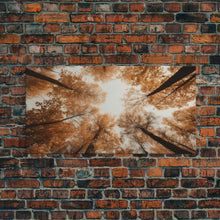 Carregar imagem no visualizador da galeria, Forest Art, Trees Wall Art, Fall Art Print, Panoramic Art, Wall Art, Canvas Art, Landscape Art, Wall Art Prints, Entryway Prints, RV Decor