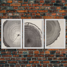 Load image into Gallery viewer, Boho Framed Canvas Wall Art Set, Wood Tree Rings Abstract Illustrations Prints Modern Art, Minimalist Neutral Boho Decor, Charcoal Sketch
