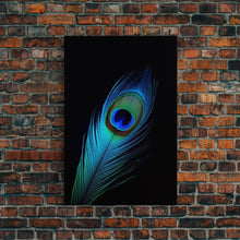 Carregar imagem no visualizador da galeria, A Lone Peacock Feather, Framed Canvas Print, Feather Photography, Beautiful & Colorful Peacock Art