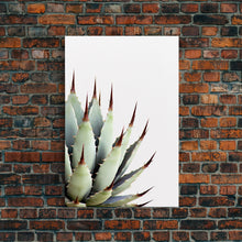 Load image into Gallery viewer, Desert Cactus Art Print, Modern Home Decor, Framed Canvas Print Or Poster, Botanical Print Desert Art Cactus, Bathroom Or Bedroom Or Office