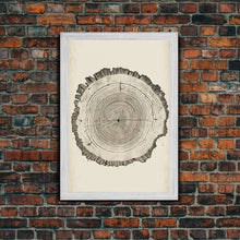 Carregar imagem no visualizador da galeria, Framed Canvas Print Wall Art Pastel Grunge Wood Tree Rings Abstract Illustrations Minimalist Modern Art Boho Decor Framed Canvas Print