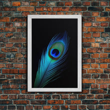 Carregar imagem no visualizador da galeria, A Lone Peacock Feather, Framed Canvas Print, Feather Photography, Beautiful & Colorful Peacock Art