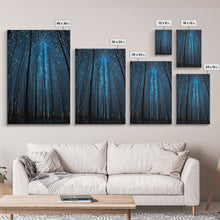 Load image into Gallery viewer, Birch Tree Forest At Night, Starry Night Sky, Framed Canvas Print, Boho Minimalist Farmhouse Decor, Primitive Art