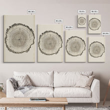 Carregar imagem no visualizador da galeria, Framed Canvas Print Wall Art Pastel Grunge Wood Tree Rings Abstract Illustrations Minimalist Modern Art Boho Decor Framed Canvas Print