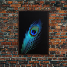 Carregar imagem no visualizador da galeria, A Lone Peacock Feather, Framed Canvas Print, Feather Photography, Beautiful & Colorful Peacock Art