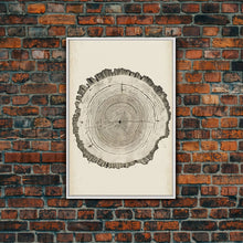 Carregar imagem no visualizador da galeria, Framed Canvas Print Wall Art Pastel Grunge Wood Tree Rings Abstract Illustrations Minimalist Modern Art Boho Decor Framed Canvas Print