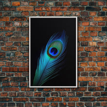 Carregar imagem no visualizador da galeria, A Lone Peacock Feather, Framed Canvas Print, Feather Photography, Beautiful & Colorful Peacock Art