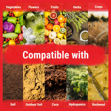 Carregar imagem no visualizador da galeria, 3-Part Base Kit | Micro, Grow, Bloom