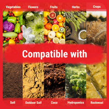 Carregar imagem no visualizador da galeria, 3-Part Base Kit | Micro, Grow, Bloom