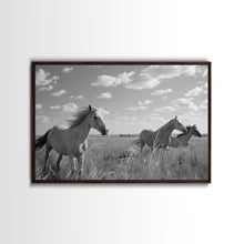 Carregar imagem no visualizador da galeria, Fine Art Framed Canvas Print, Metal Art, Black & White Photo of Wild Mustangs, Horse Art, American Horses Landscape / Nature / Wildlife Art