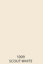 Carregar imagem no visualizador da galeria, Acrylic Urethane Topcoat