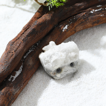 Carregar imagem no visualizador da galeria, Mystery Crystal Buddies