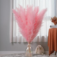 Carregar imagem no visualizador da galeria, Pampas Grass Bouquet (Set of 5)