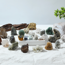 Carregar imagem no visualizador da galeria, Mystery Crystal Buddies