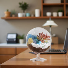 Carregar imagem no visualizador da galeria, 6" Glass Chalice Succulent Terrarium Kit