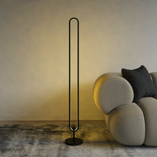 Load image into Gallery viewer, RGB Floor Lamp