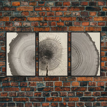 Carregar imagem no visualizador da galeria, 3 Piece Triptych Framed Canvas Wall Art Set, Wood Tree Rings, Abstract Illustration Prints, Modern Art, Neutral Decor, Minimalist Art