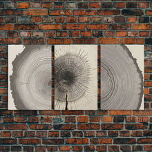 Carregar imagem no visualizador da galeria, 3 Piece Triptych Framed Canvas Wall Art Set, Wood Tree Rings, Abstract Illustration Prints, Modern Art, Neutral Decor, Minimalist Art