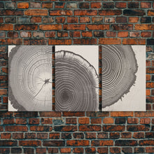 Load image into Gallery viewer, Boho Framed Canvas Wall Art Set, Wood Tree Rings Abstract Illustrations Prints Modern Art, Minimalist Neutral Boho Decor, Charcoal Sketch