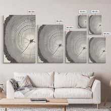 Load image into Gallery viewer, Boho Framed Canvas Wall Art Set, Wood Tree Rings Abstract Illustrations Prints Modern Art, Minimalist Neutral Boho Decor, Charcoal Sketch