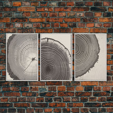 Load image into Gallery viewer, Boho Framed Canvas Wall Art Set, Wood Tree Rings Abstract Illustrations Prints Modern Art, Minimalist Neutral Boho Decor, Charcoal Sketch