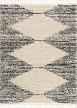 Load image into Gallery viewer, Howth Area Rug