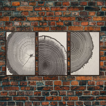 Load image into Gallery viewer, Boho Framed Canvas Wall Art Set, Wood Tree Rings Abstract Illustrations Prints Modern Art, Minimalist Neutral Boho Decor, Charcoal Sketch