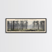 Load image into Gallery viewer, Bialowieza Forest Travel Poster Print, Framed Canvas Wall Art, Metal Wall Art, COUNTRY art, Gift For Him, Travel Wall Art, Travel Lover Gift