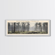 Load image into Gallery viewer, Bialowieza Forest Travel Poster Print, Framed Canvas Wall Art, Metal Wall Art, COUNTRY art, Gift For Him, Travel Wall Art, Travel Lover Gift