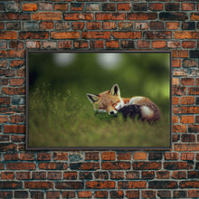 Cargar imagen en el visor de la galería, Cute Sleepy Fox Art, Animal Prints, Nature Art, Framed Canvas Print, Cute animal wall art, above sofa art