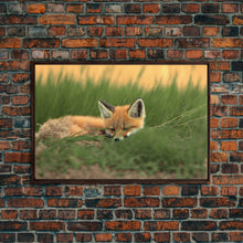 Cargar imagen en el visor de la galería, Cute Sleeping fox Framed Canvas Wall Art, Canvas Print Decor for Home & Office Decoration Canvas Ready to Hang
