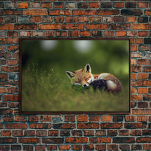 Cargar imagen en el visor de la galería, Cute Sleepy Fox Art, Animal Prints, Nature Art, Framed Canvas Print, Cute animal wall art, above sofa art