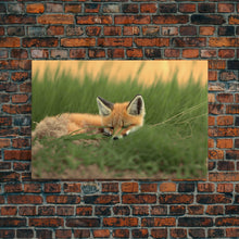 Cargar imagen en el visor de la galería, Cute Sleeping fox Framed Canvas Wall Art, Canvas Print Decor for Home & Office Decoration Canvas Ready to Hang