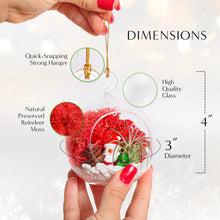 Carregar imagem no visualizador da galeria, 4" Glass Globe Holiday Ornament Terrarium Kit
