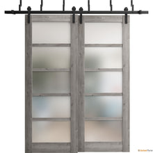 Load image into Gallery viewer, Quadro 4002 Nebraska Grey Double Barn Door with Frosted Glass and Black Bypass Rail
