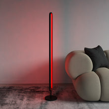 Load image into Gallery viewer, RGB Floor Lamp
