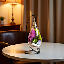 Carregar imagem no visualizador da galeria, 7" Glass Tear Drop Succulent Terrarium Kit