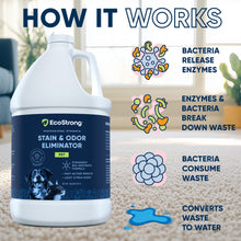 Load image into Gallery viewer, Pet Stain and Odor Eliminator