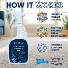 Load image into Gallery viewer, Pet Stain and Odor Eliminator