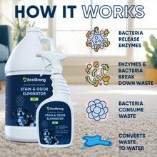 Load image into Gallery viewer, Pet Stain and Odor Eliminator