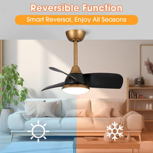 Carregar imagem no visualizador da galeria, 28" Modern DC Motor Downrod Mount Reversible Ceiling Fan with LED Lighting and Remote Control