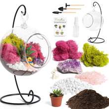 Carregar imagem no visualizador da galeria, 5" Acrylic Globe Succulent Terrarium Kit (Kid Friendly)