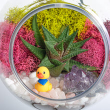 Carregar imagem no visualizador da galeria, 5" Acrylic Globe Succulent Terrarium Kit (Kid Friendly)