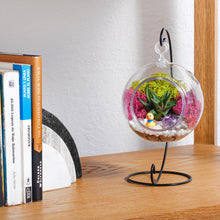 Carregar imagem no visualizador da galeria, 5" Acrylic Globe Succulent Terrarium Kit (Kid Friendly)