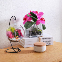 Carregar imagem no visualizador da galeria, 5" Acrylic Globe Succulent Terrarium Kit (Kid Friendly)