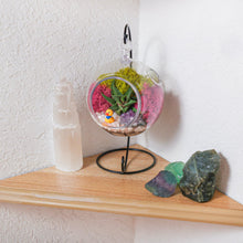 Carregar imagem no visualizador da galeria, 5" Acrylic Globe Succulent Terrarium Kit (Kid Friendly)