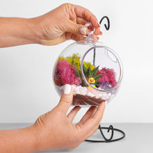Carregar imagem no visualizador da galeria, 5" Acrylic Globe Succulent Terrarium Kit (Kid Friendly)